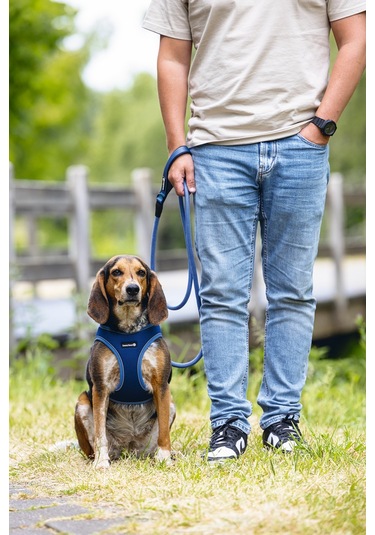 Beeztees Köpek Göğüs Tasması, Neopren, Mavi, M, 41-46cm Çok Renkli