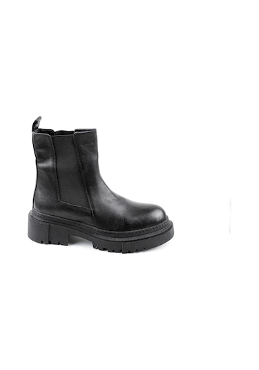 Dexter Tp22515-1 Renkli