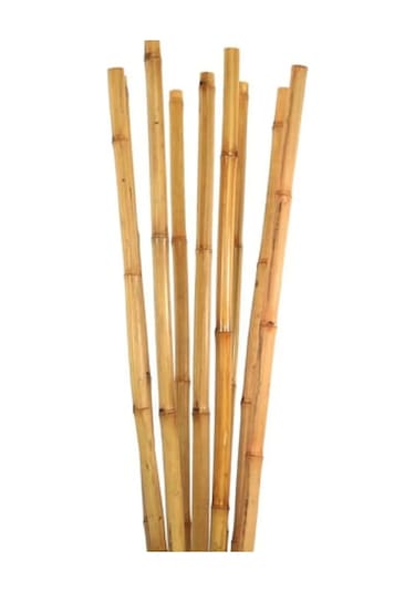 50 Adet Bambu Bitki Fidan Destek Çubuğu 190 - 200 Cm