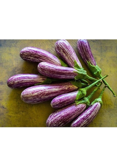 Süper Paket 150 Tohum Nadir Ithal Benekli Kemer Patlıcan Tohumu