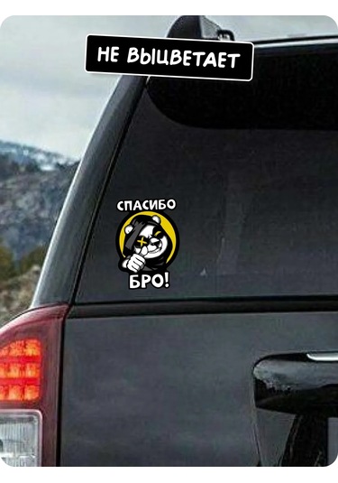 Stadi Erkekler İçin Araba İçin Eğlenceli Çıkartma 266513165