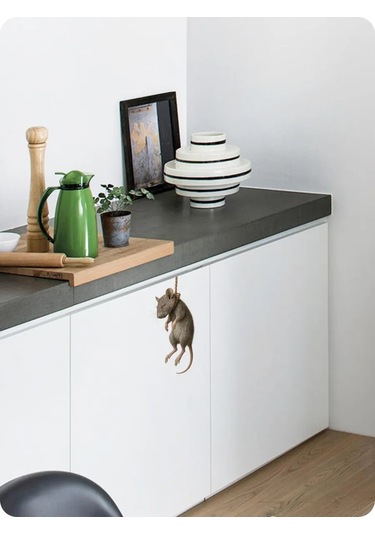 Fosti Buzdolabı İçin İşaret: Fare Asıldı 447775474 Beyaz