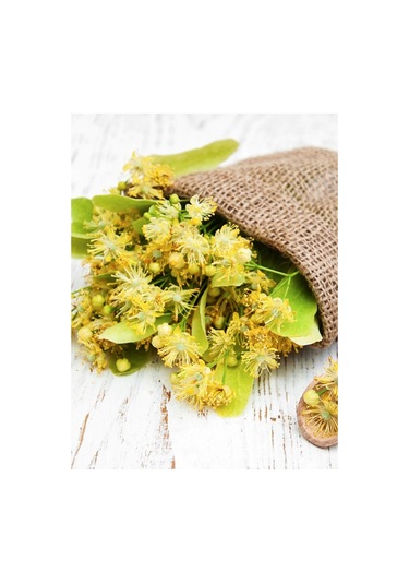 Kuzeylina Ihlamur 50 G