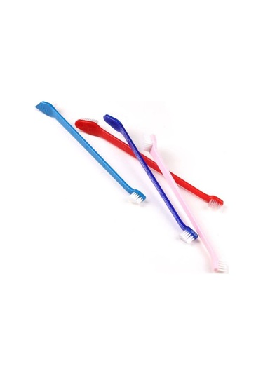 River World Köpekler İçin 4 Adet Diş Fırçası Plastik