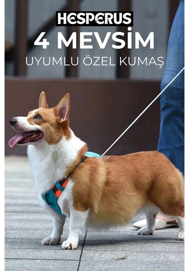 Hesperus Köpek Tasması Gövdelik Ve Göğüslük Otomatik Mavi-xs Mavi