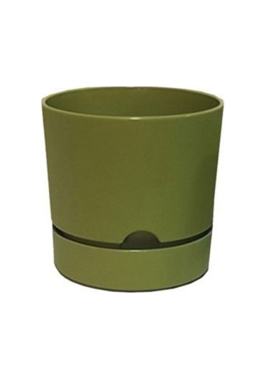 Polıwork Saksı Begonya 12 Cm Yosun Yeşili