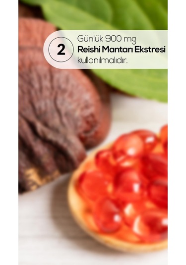 Erbatab Reishi Mantarı Ekstresi 60 Kapsül