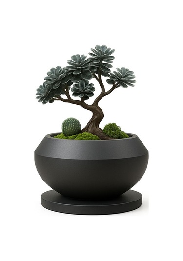Dekoratif Bonsai Saksı
