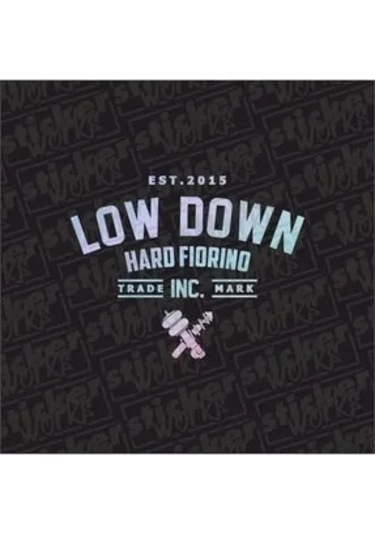 Low Down Hard Fiorino Arka Cam Yeni Süper Hologram Sticker