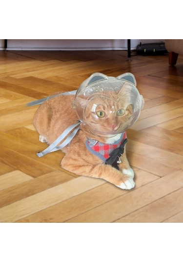 Homyl Namlu Tırnak Kırpma Kısıtlama Açık Görünüm Anti