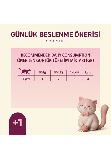 Tavuklu Yaş Kedi Maması 85 Gr X 24 Adet Jöle İçinde Parça Etli - Yavru Kedi