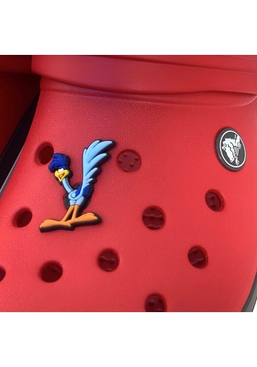 Crocs Terlik Süsü & Renkli Aksesuar Jibbitz (474782518) Çok Renkli