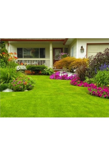 Lippa Çim Tohumu Norden 4üü Karışım İthal