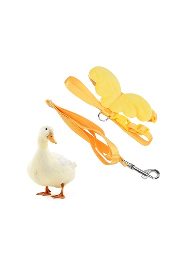 Moveevo Küçük Pet İçin Nylon Askı Ve Sürükleme Kemer - Ayarlanabilir, Dayanıklı, Kuşlar İçin Kırmızı Xs Boy