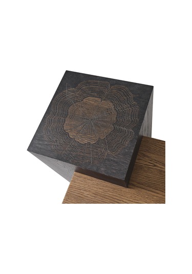 Orta Sehpa No:270 Ahşap Sehpa Mdf Rehome