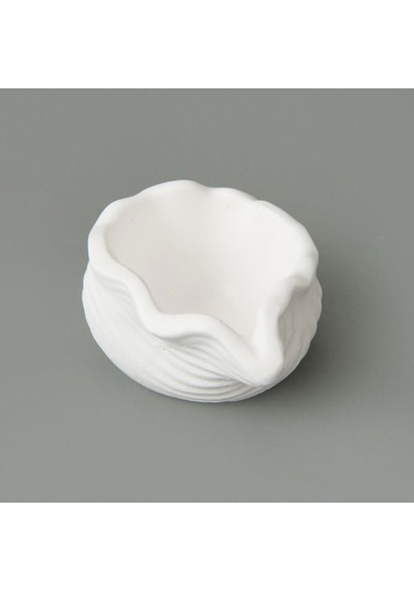Evidea Deco Nautilius Dekor - Beyaz - 10 Cm Beyaz