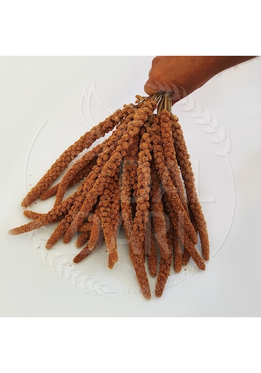 Kızıl Dal Darı 2 KG