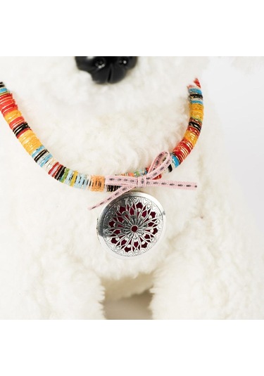 Homyl 2 Adet Evcil Hayvan Tasması Ayarlanabilir Güvenlik M Çok Renkli