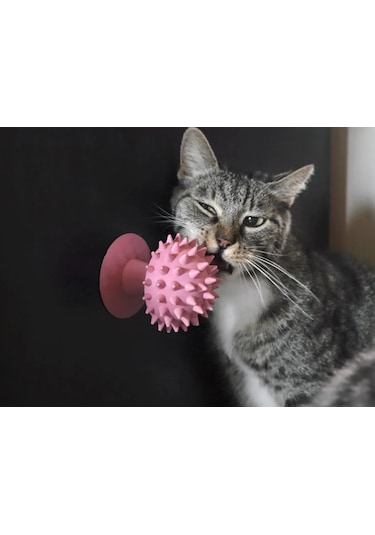 Pureysma  Kedi Kaşıma Oyuncağı Pembe Renk Tımar Catn Pembe