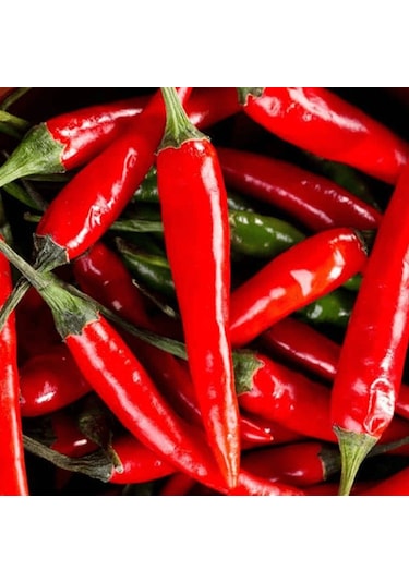 Ata Tohum Geleneksel Malagueta Chili Acı Biber Tohumu 10 Tohum