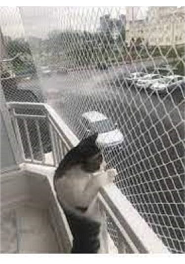 2x2 Metre Kedi Filesi Balkon Filesi Sık Dokuma Kalın Kuş Filesi 2