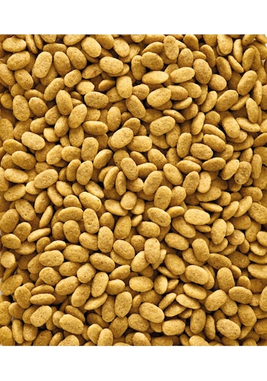 Versele Laga Nutribird P19 Pelet Papağan Yemi 1 KG Açik