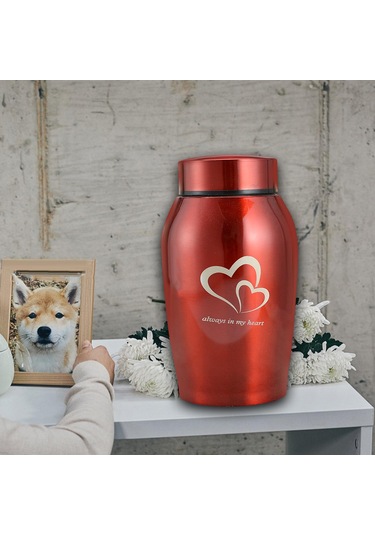 Homyl Köpekler Kediler Küller Gevşek Anıt Evcil Kırmızı Altın