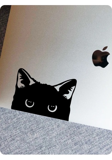 Stadi Balkondan Bakan Kedi Çıkartması 194985511 Siyah