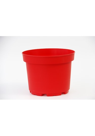 Rengarenk Saksı Seti - 5 Renk 10 Saksı