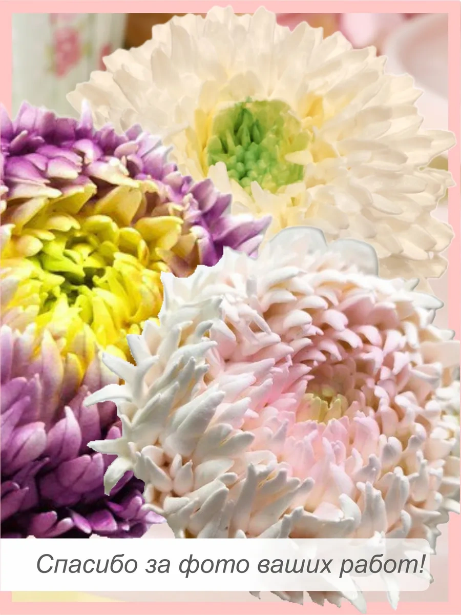 Bonbon 227 Bölmeli Konfiteri Ucu 233716865 Gri