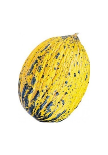 Süper Paket 350 Tohum Meşhur Altınbaş Manisa Kavunu Tohumu Kavun Tohumu