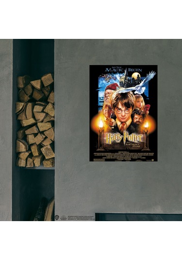 Harry Potter And The Sorcerer S Stone 50x70 Cm Poster