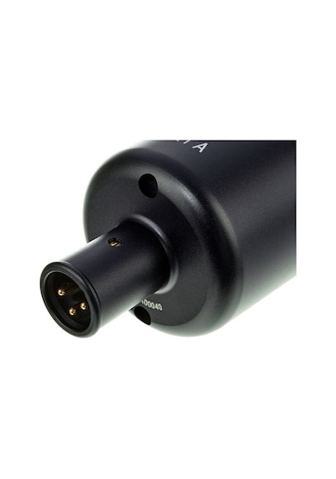 Se Electronics X1a Geniş Diyaframlı Condenser Mikrofon