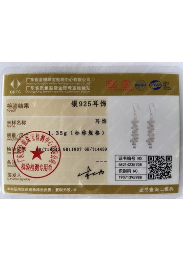 925 Ayar Gümüş Buzlu Üzüm Boncuklu Küpe Moda Takı