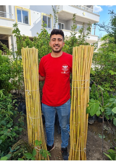 1,5 Metre Fidan Bitki Destek Çubuğu Bambu 50 Adet