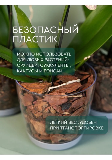 Elly Home Orkide İçin Büyük Şeffaf Saksı 171430255