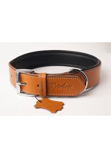 Privilege Hakiki Deri Köpek Boyun Tasması S Camel 2.5 x 32-41 CM