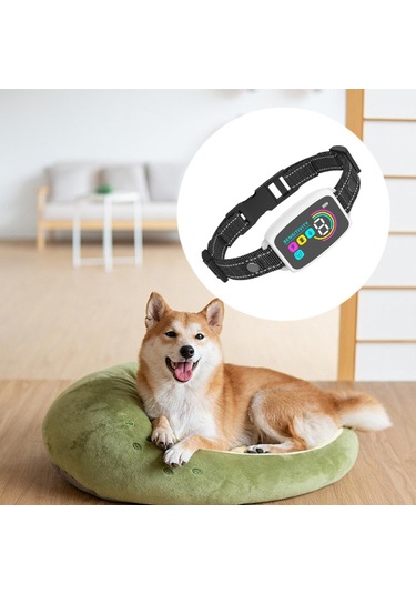 Suntek Köpek Küçük Orta Büyük Köpekler Için Şarj Beyaz