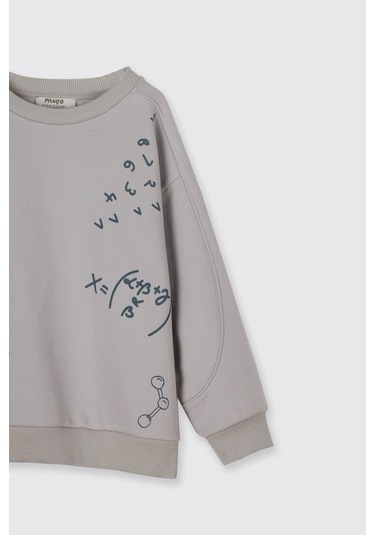 Panço Baskı Detaylı Taş Erkek Çocuk Sweatshirt 2521bb08007 Taş