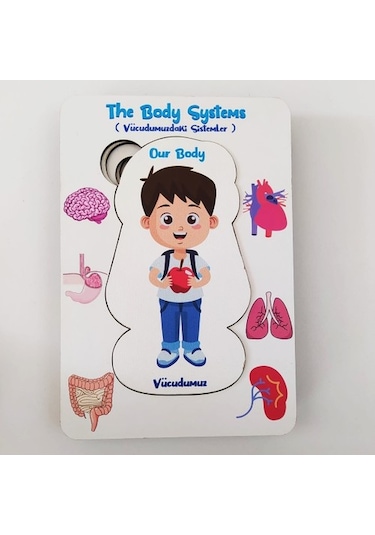 Moon Beavers Vücudumuz Sistemleri Erkek Ahşap Eğitici Oyun