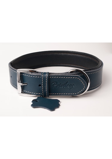 Privilege Hakiki Deri Köpek Boyun Tasması S Mavi 2.5 x 32-41 CM Mavi