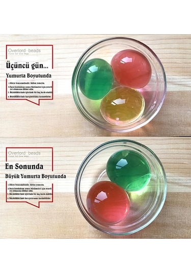 xxl En Büyük Boy 50 Adet Şişen Büyüyen Su Maymunu Maymuncuğu...