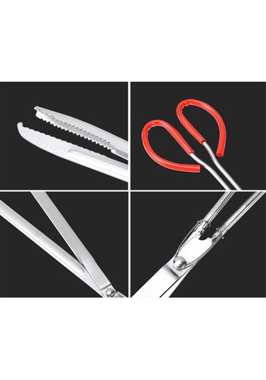 Dolıty Deniz Ürünleri Klipsi Ev Tipi Taşınabilir Çok 65cm