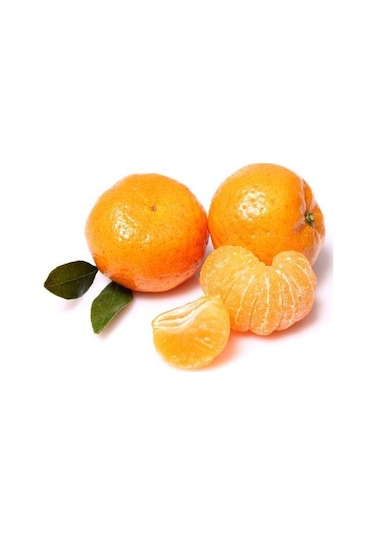 Bodrum Mandalinası Fidanı