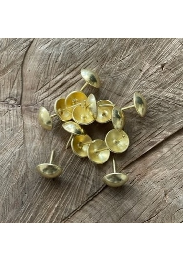 Dmr 21mm Parlak Sarı Kabara Raptiye Gold Sarı Koltuk Kapı Çivisi 20adet 21mm