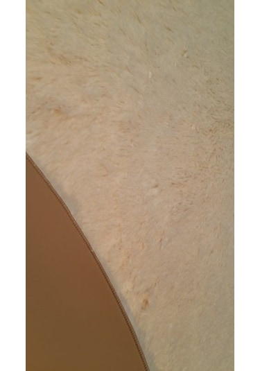 Doğuş Tavşan Tüyü Krem 80X300 Cm