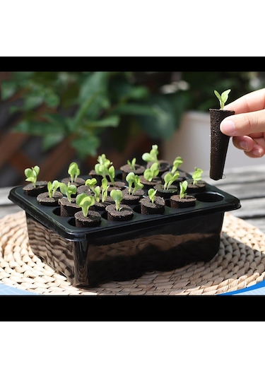 Suntek Kapalı Bahçecilik Fide Yetiştiriciliği Için Tohum