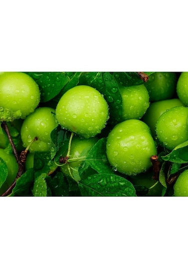 Taze Papaz Erik Sert Yeşıl 14-15adet