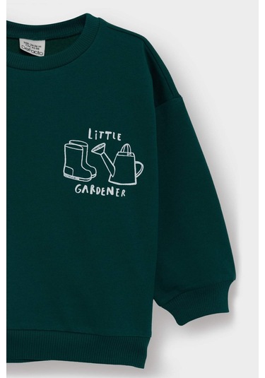 Defacto Erkek Bebek Bisiklet Yaka Baskılı İçi Yumuşak Tüylü Sweatshirt E9242a525augn671 Yeşil