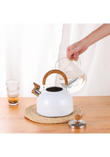 Hangfox 2.5 Litre Çelik Çalıcı Kettle: Kalın Tabaka, Gaz Ve Indüksiyon Uyumlu, Evde Pratik Su Kaynatma Aleti Beyaz